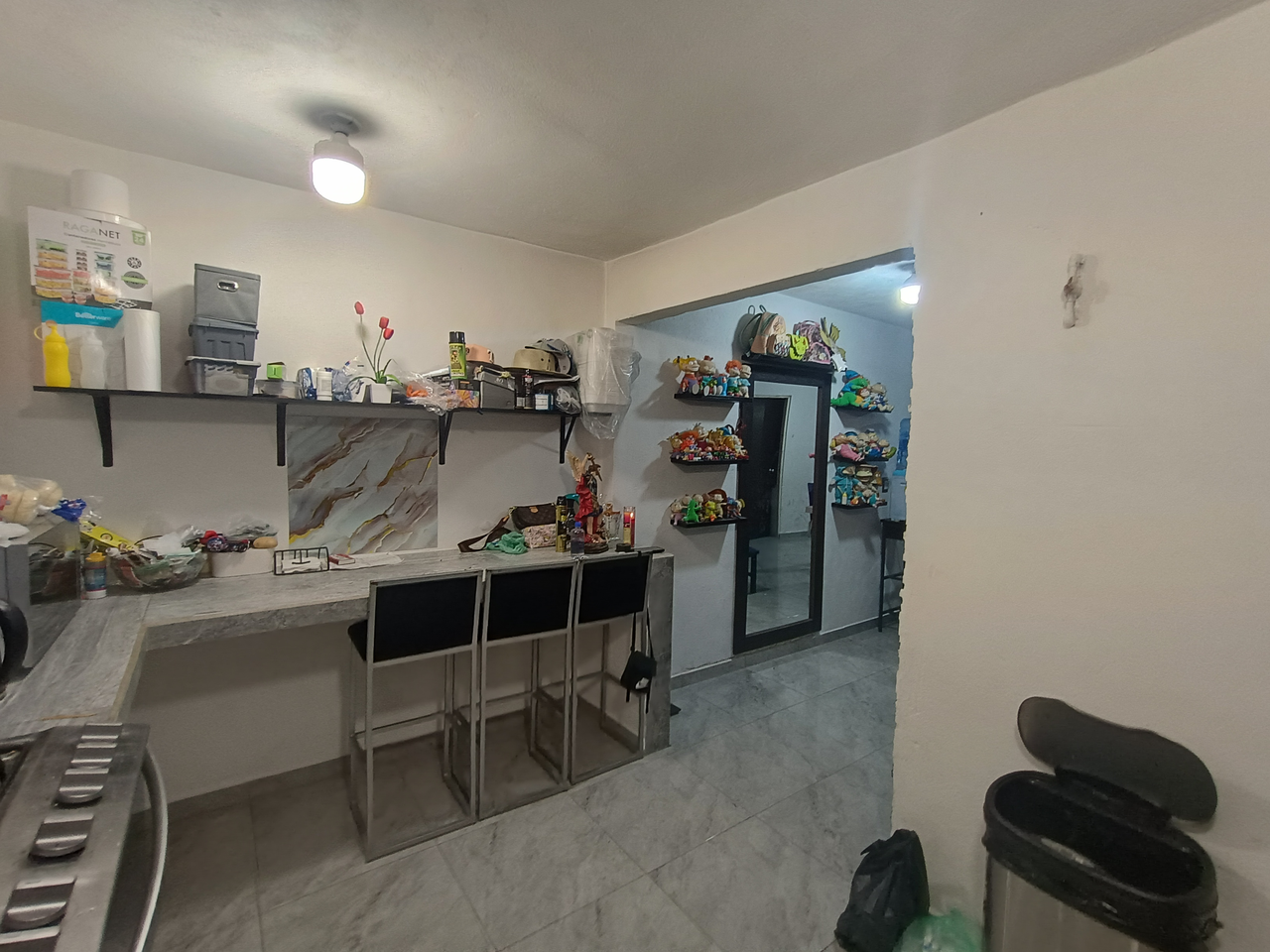 Casa en Venta en Valle del Nte. - Miniatura 10