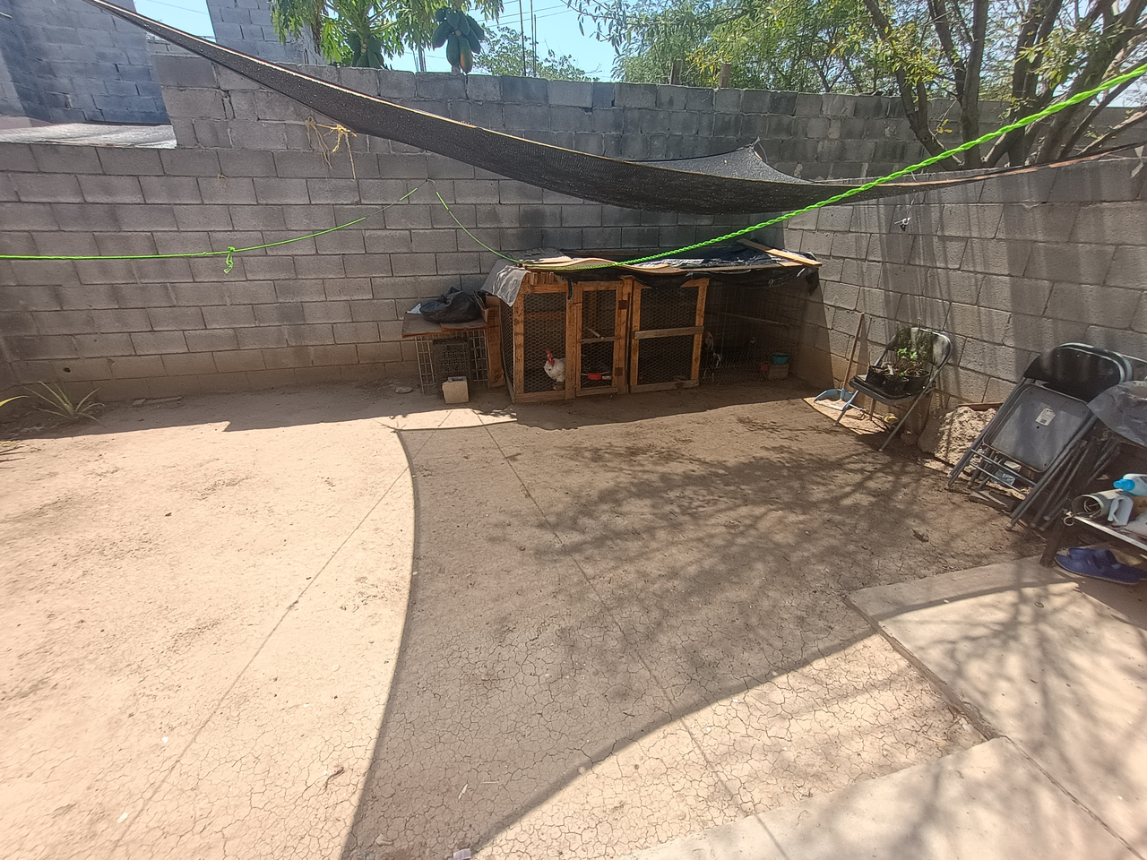 Casa en Venta en Palo Dulce, El Carmen | 1 Recámara, 38 m² - Miniatura 10